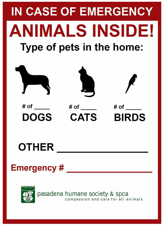 Right click and save as